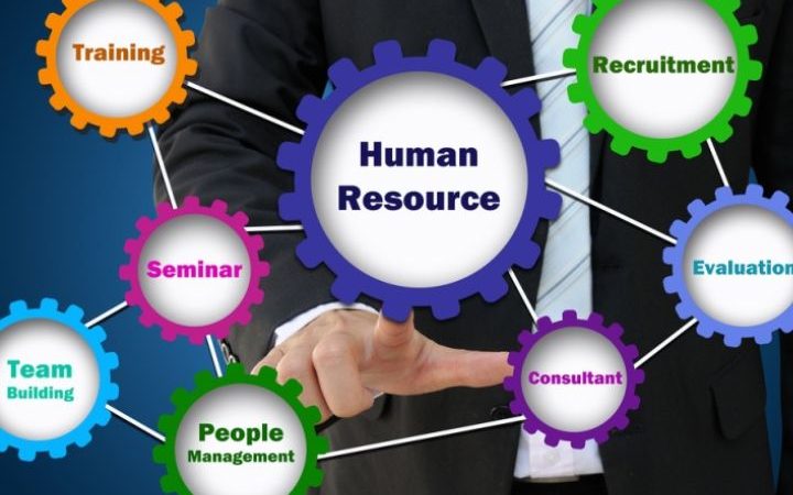 What are the top roles of human resource management?