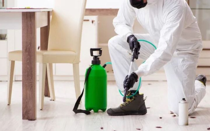 Securing Your Home: Unveiling the Importance of Effective Pest Control