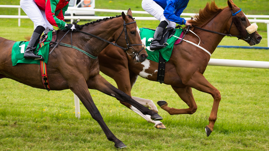 Indian Horse Races